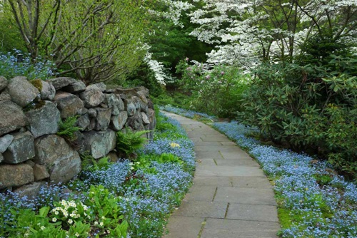 Reeves-Reed Arboretum, Union County, NJ 05 11 (6504SA).jpg